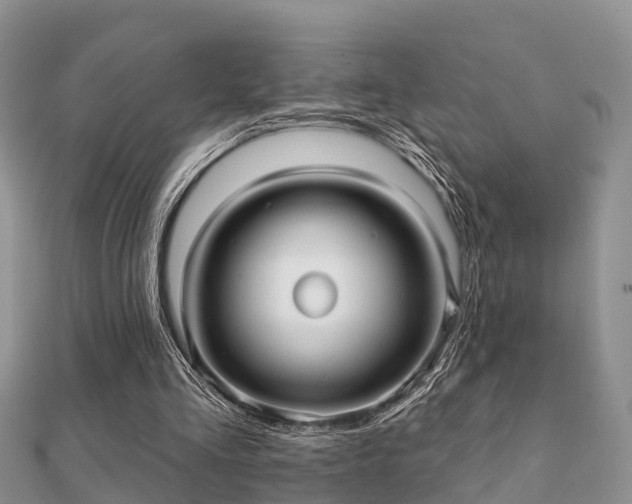 X0000112060293200908111417