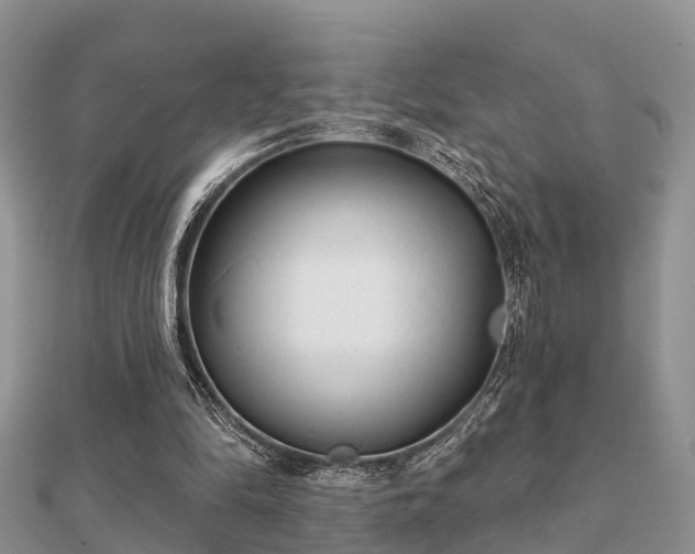 X0000112060294200908111417