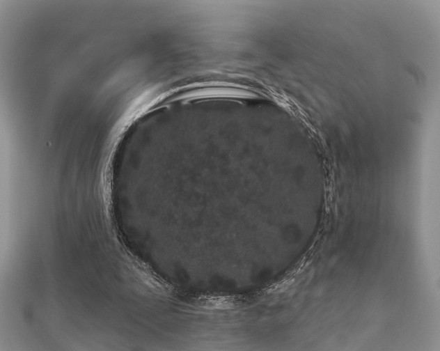 X0000112060295200908111417