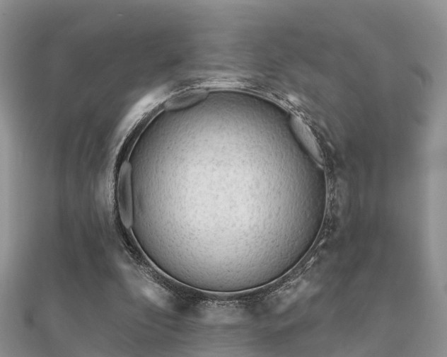 X0000112060296200908111417