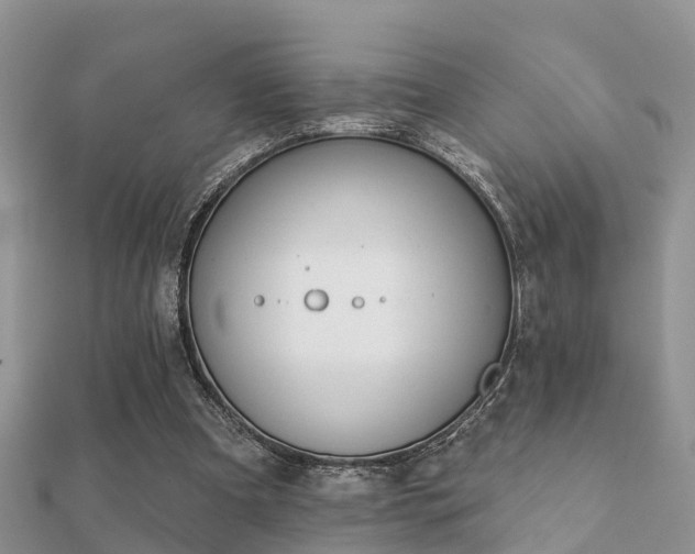 X0000112060297200908111417