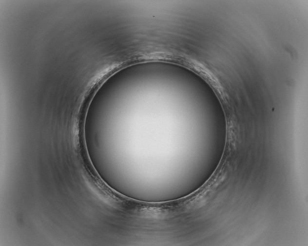 X0000112060298200908111417