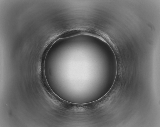 X0000112060299200908111417