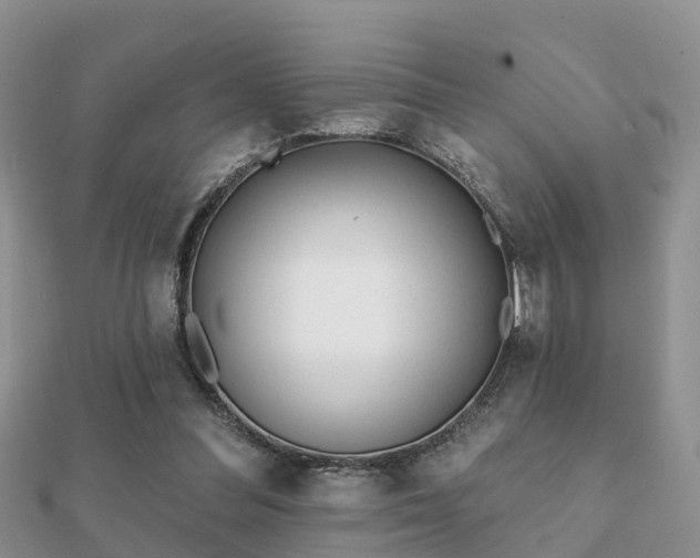 X0000112060300200908111417