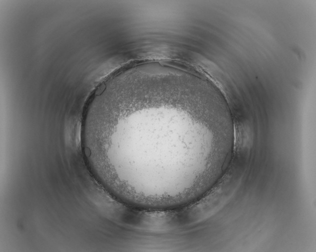 X0000112060301200908111417