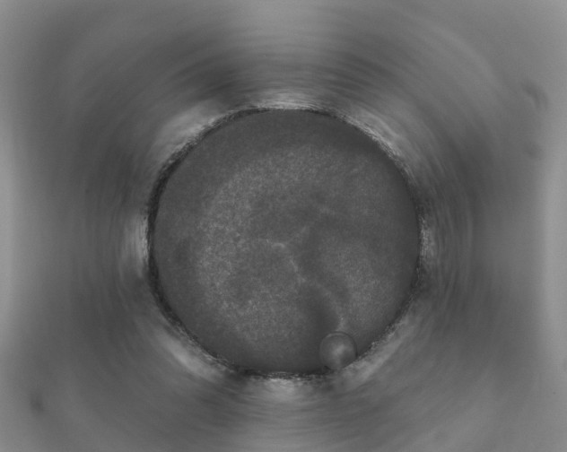 X0000112060302200908111417