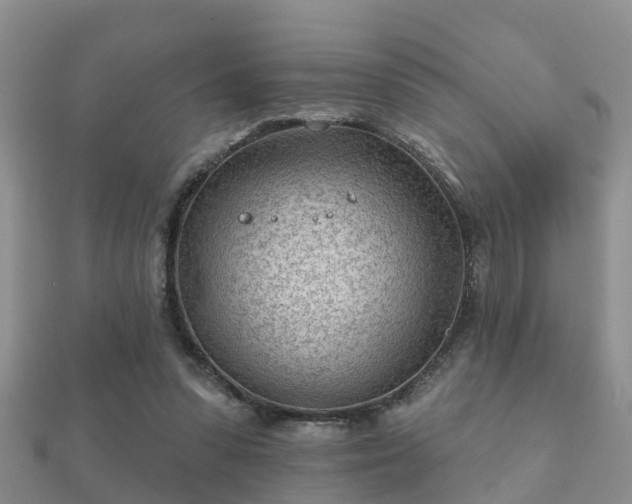 X0000112060303200908111417