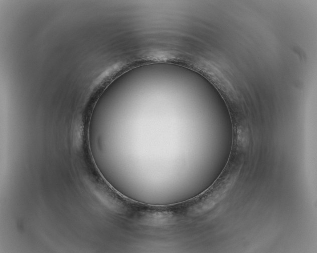 X0000112060304200908111417