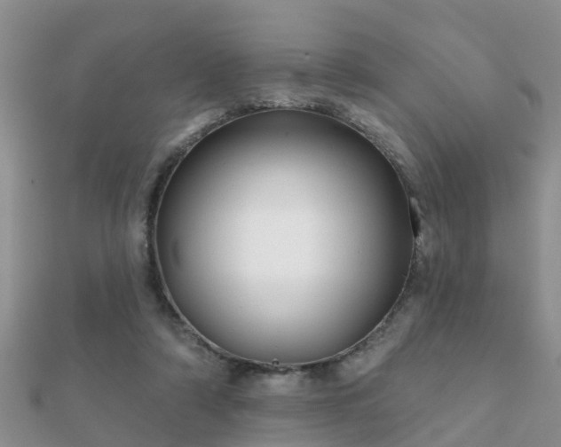 X0000112060306200908111417