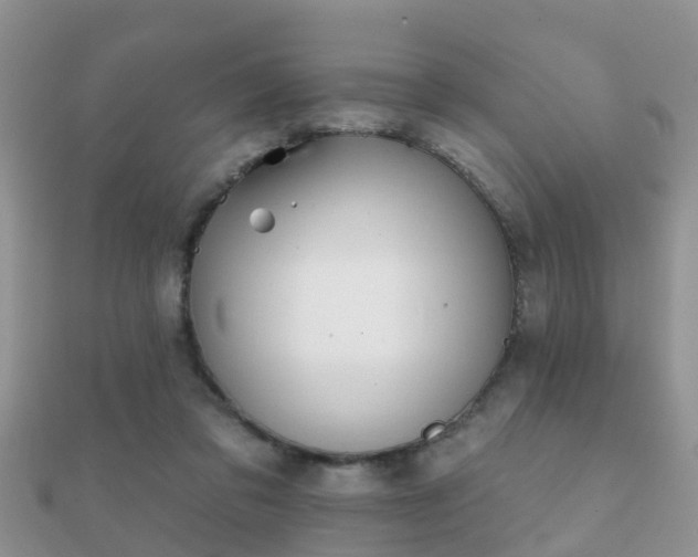 X0000112060309200908111417