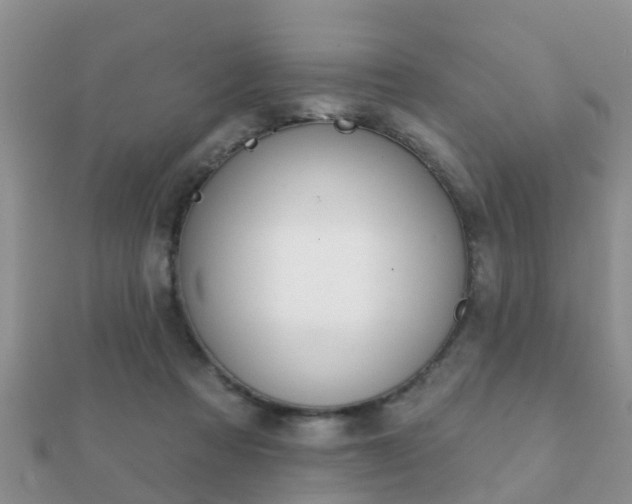 X0000112060313200908111417