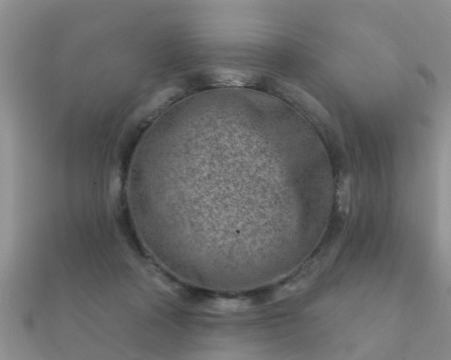 X0000112060314200908111417