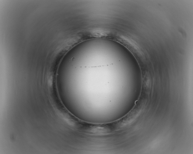 X0000112060315200908111417