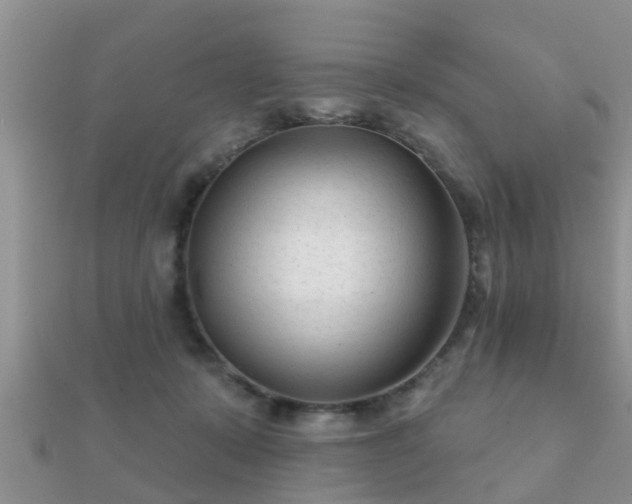 X0000112060319200908111417