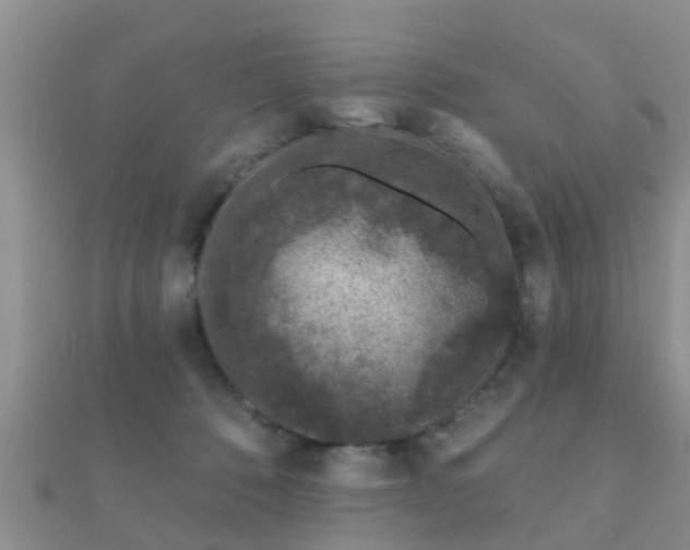 X0000112060320200908111417