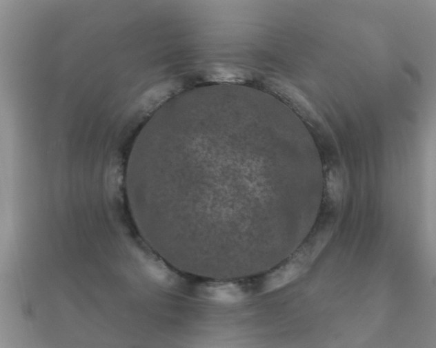 X0000112060322200908111417