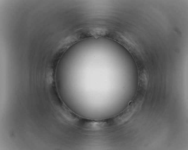 X0000112060323200908111417