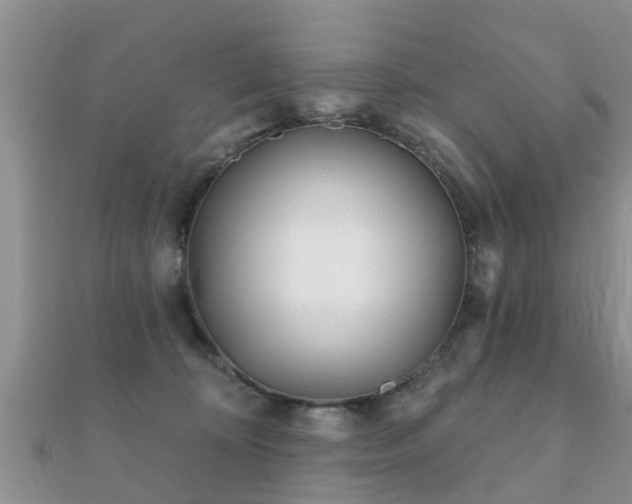 X0000112060324200908111417