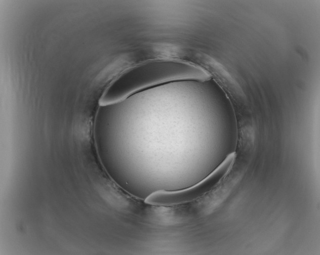 X0000112060325200908111417