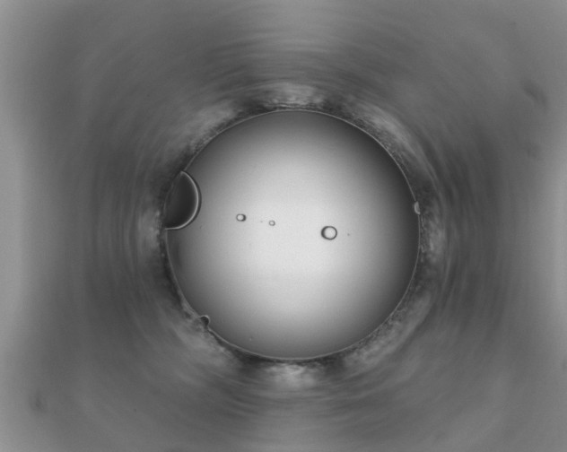 X0000112060326200908111417