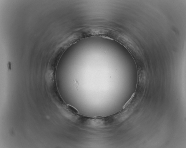 X0000112060327200908111417