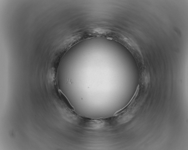 X0000112060328200908111417