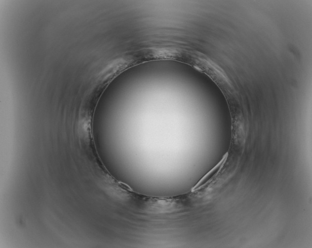 X0000112060329200908111417