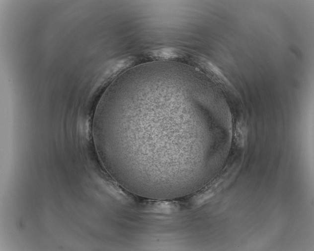 X0000112060330200908111417