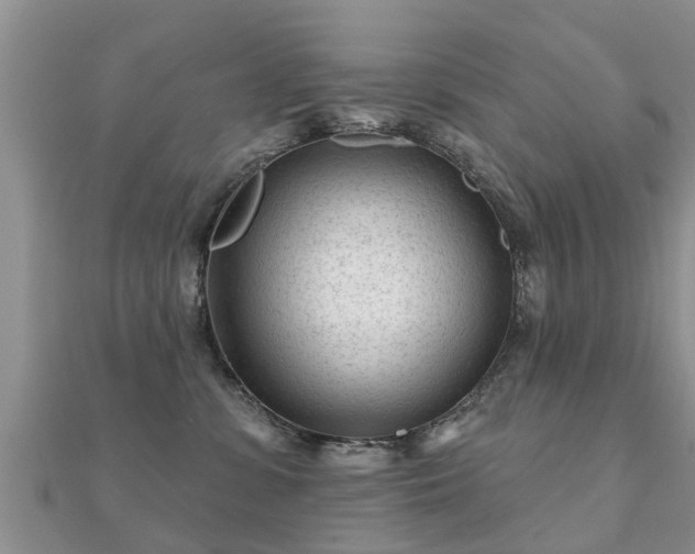 X0000112060331200908111417