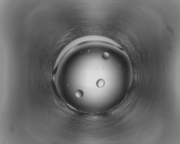 X0000112060332200908111417