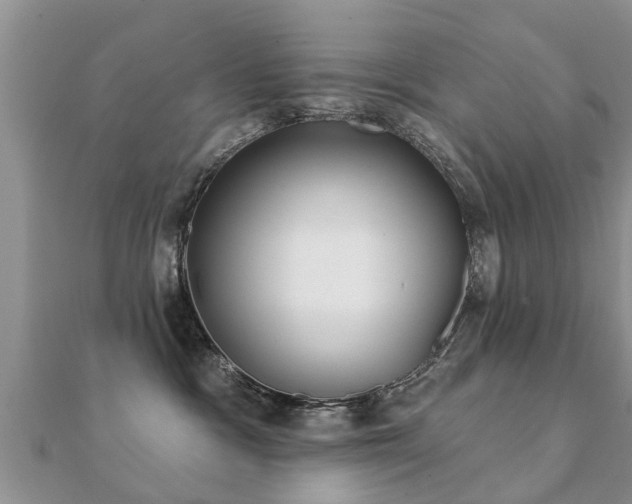 X0000112060333200908111417