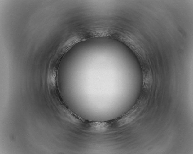 X0000112060334200908111417