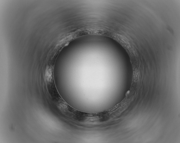 X0000112060335200908111417