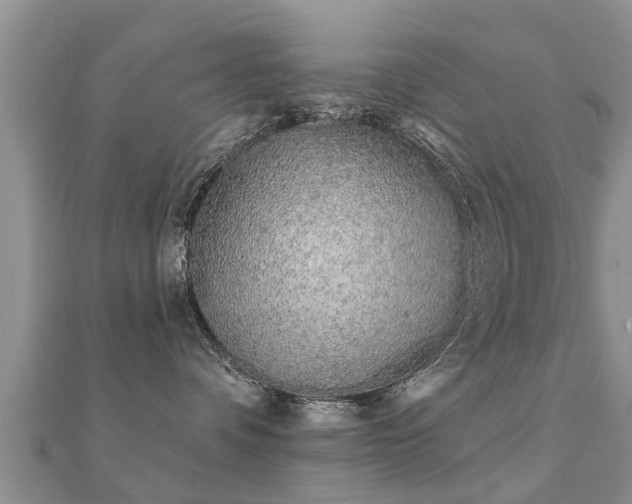 X0000112060336200908111417