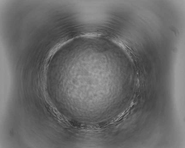 X0000112060337200908111416