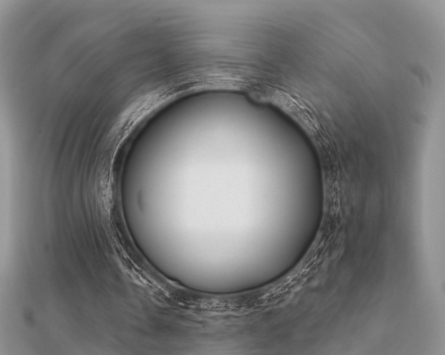 X0000112060338200908111416