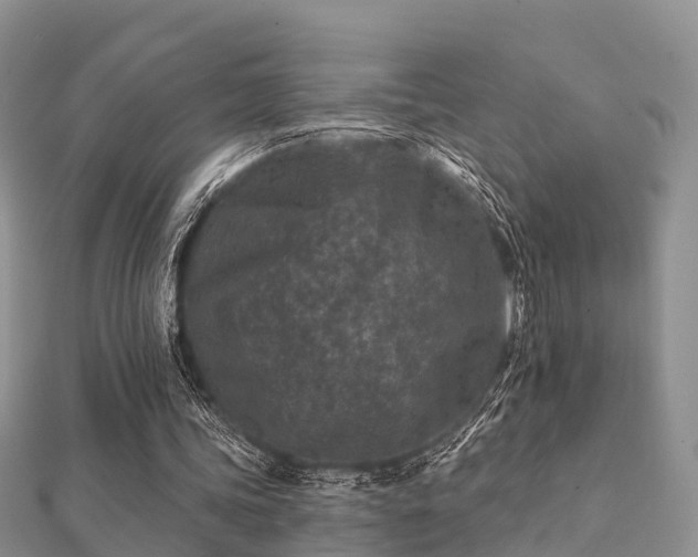 X0000112060339200908111416