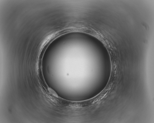 X0000112060340200908111416