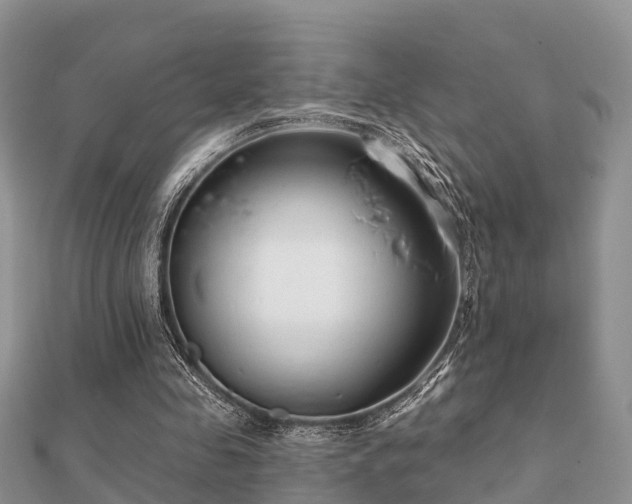 X0000112060341200908111416