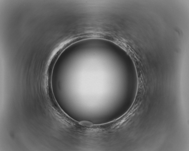 X0000112060342200908111416