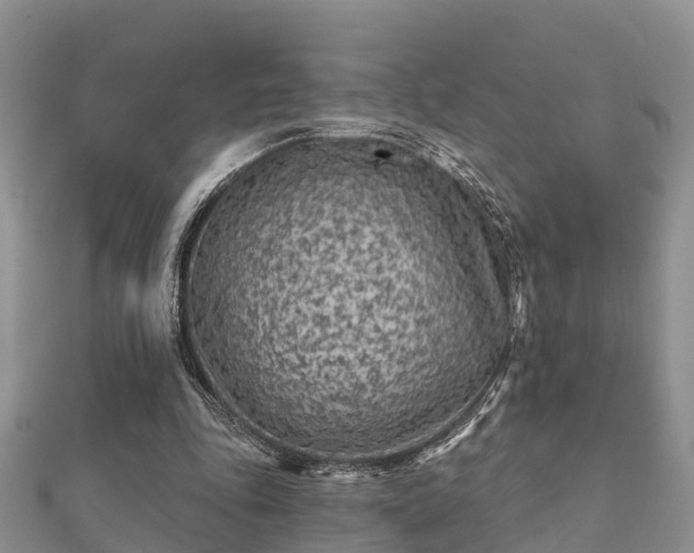 X0000112060343200908111416