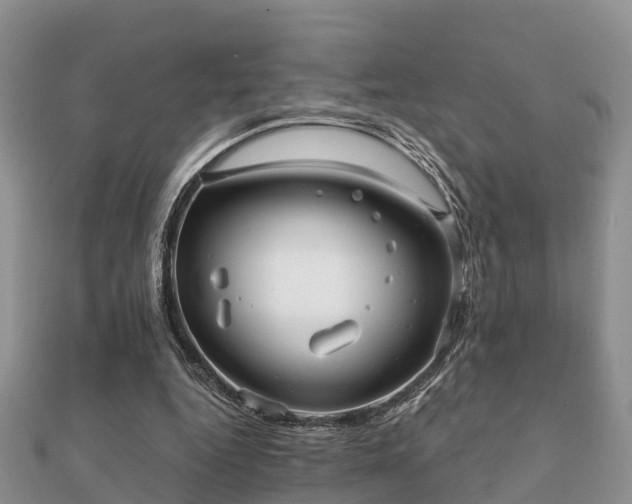 X0000112060344200908111416