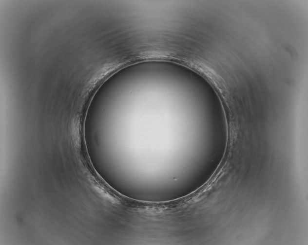 X0000112060345200908111416
