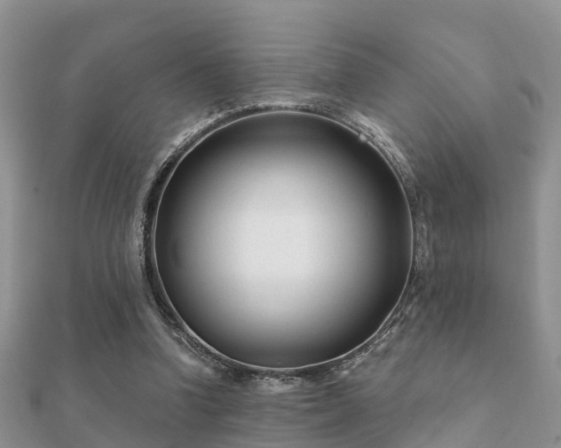 X0000112060346200908111416