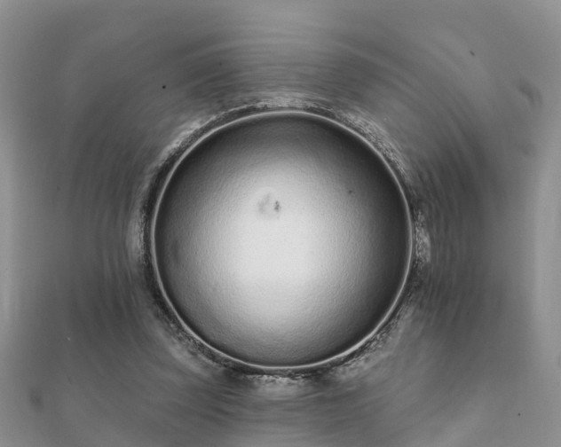 X0000112060347200908111416