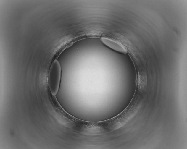 X0000112060348200908111416