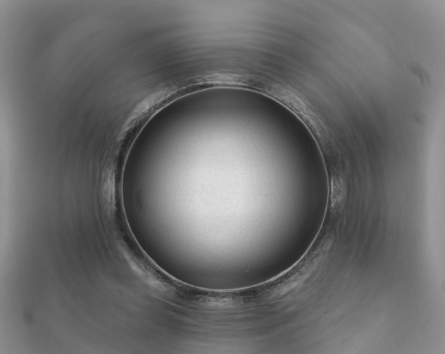 X0000112060349200908111416