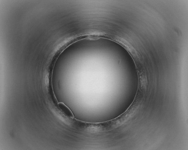 X0000112060350200908111416