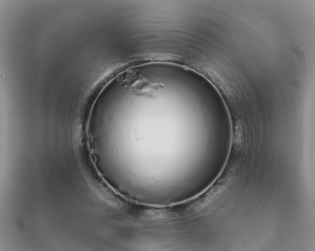 X0000112060351200908111416