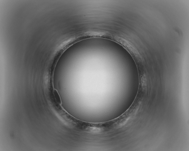 X0000112060352200908111416